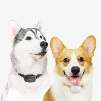 PETBIZ, трайна батерия, интелигентен мини GPS тракер за домашни любимци, локатор кучета в реално време, на монитор активност, водоустойчив търсене на кучета с приложение